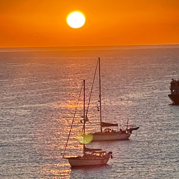 Meet your Posher, Bobbi - Picture 2 of 8